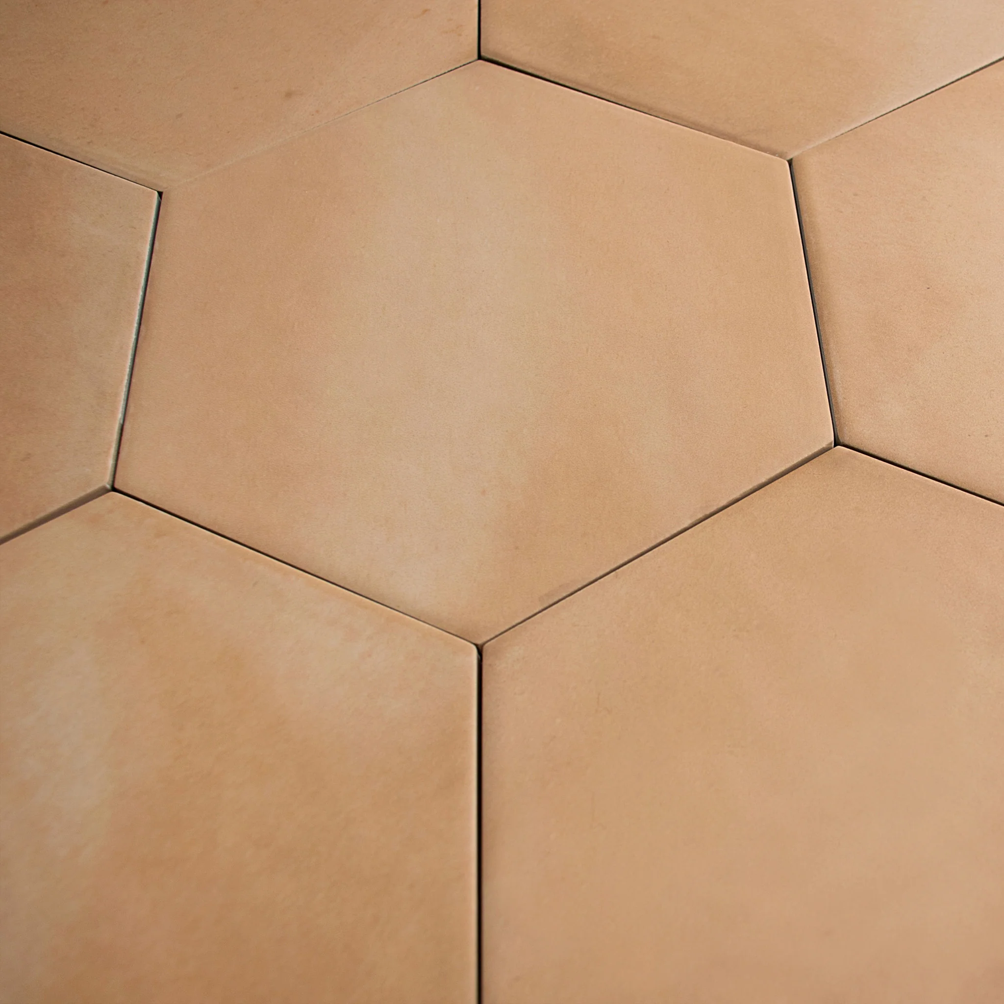 Fireclay Light Hex Tile - Image 4
