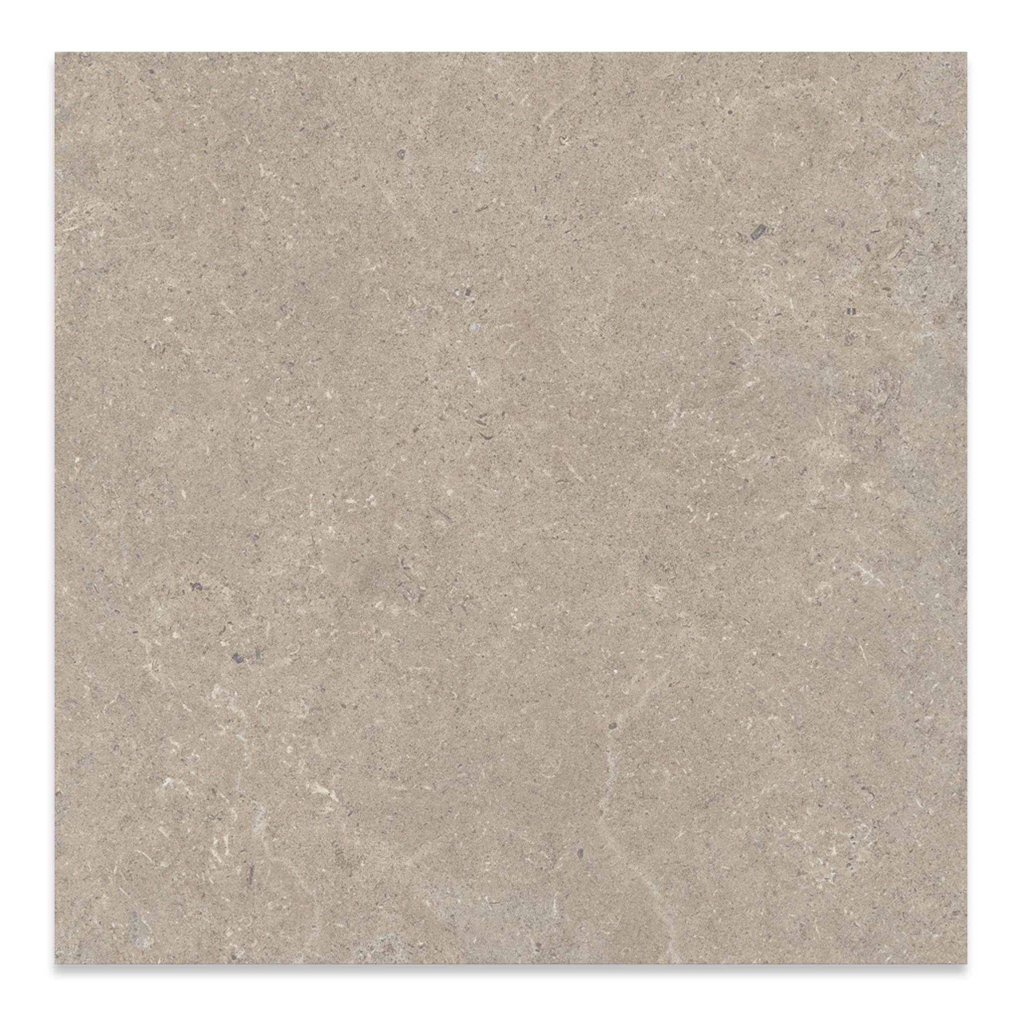 Limestone Taupe Floor Tile - Image 2