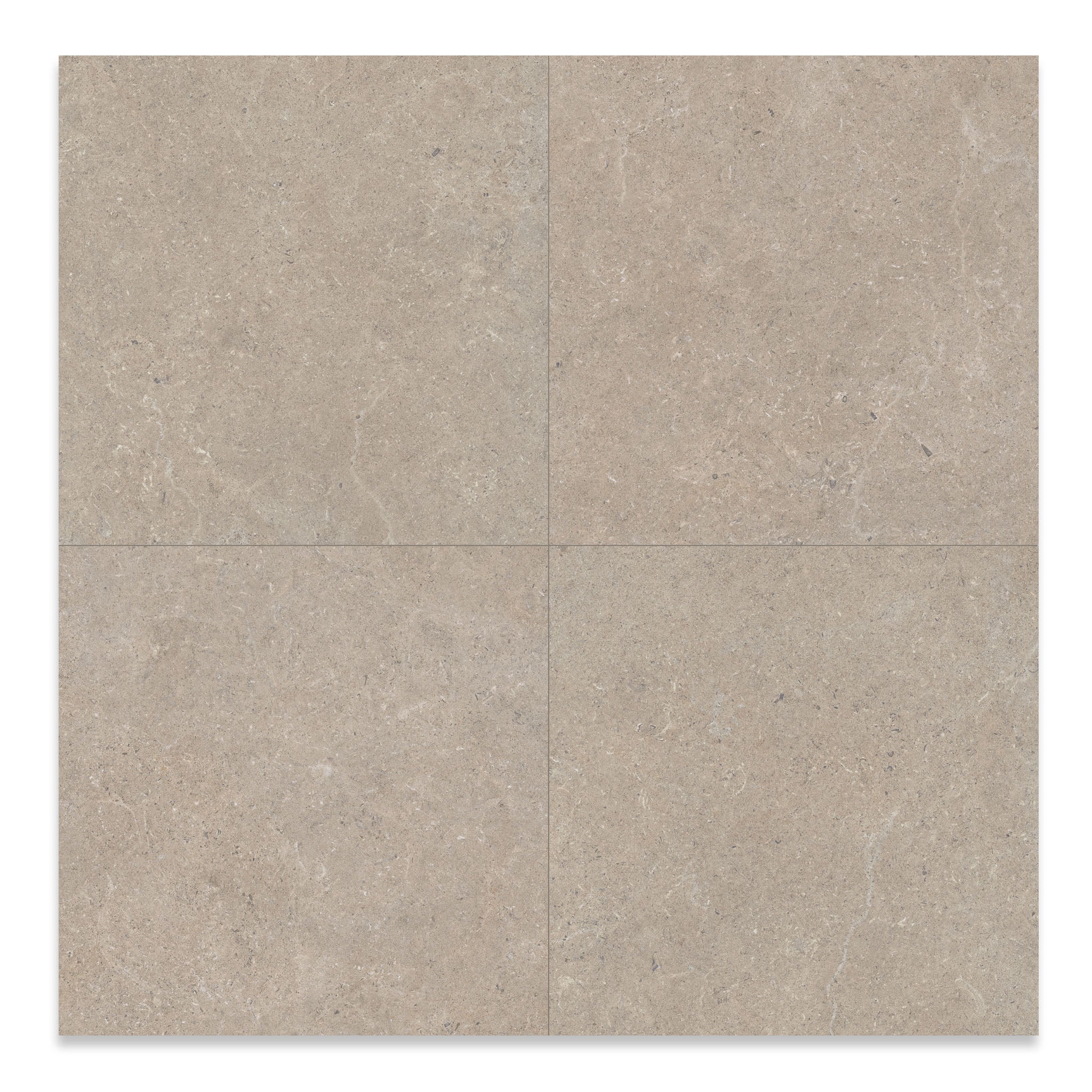 Limestone Taupe Floor Tile - Image 4
